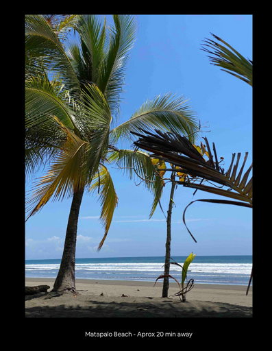 Beach With Palm Trees And Blue Sky