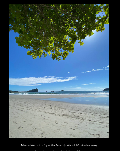 Beach View With Tree Canopy, Sea, And Distant Islands