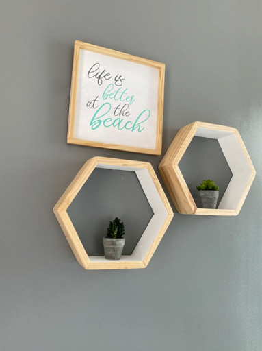 Wall With Decorative Frames And Plant Shelves