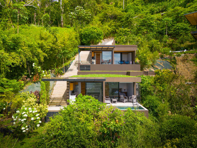 Modern Building In Green Forest Surroundings