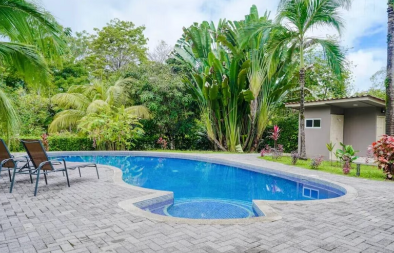 Outdoor Swimming Pool With Lounge Chairs And Tropical Vegetation