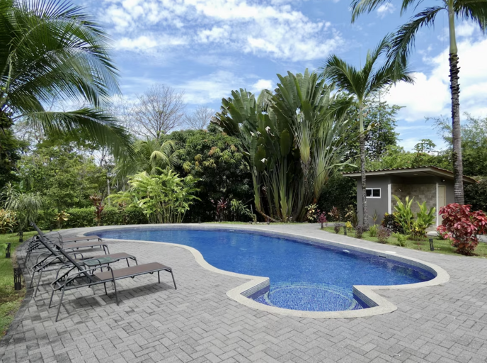 Outdoor Swimming Pool With Lounge Chairs And Tropical Vegetation