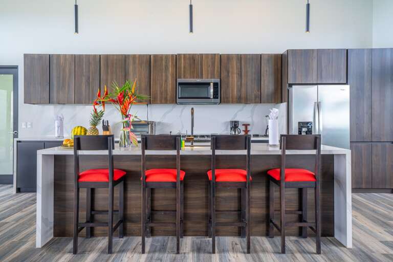 Matapalo Home Rental