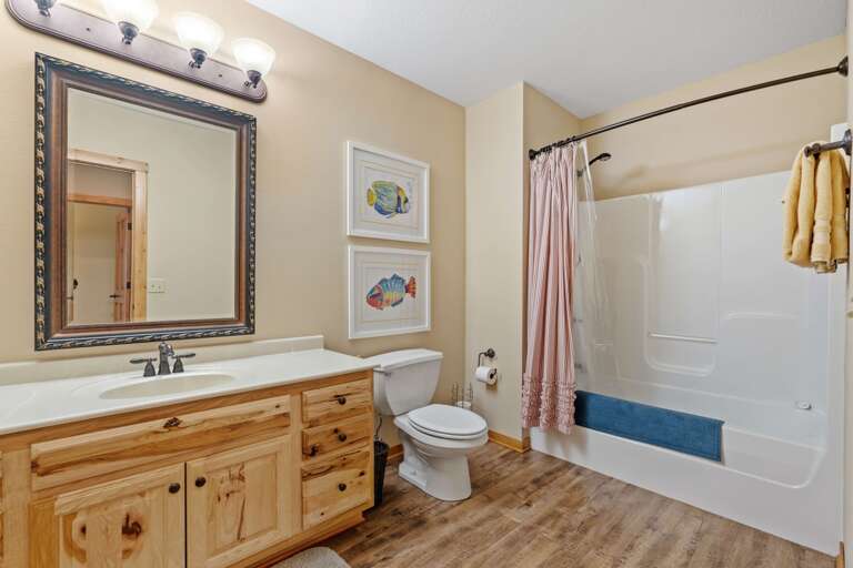 Find Rentals