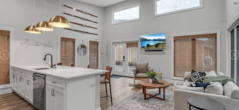 Modern Living Room With Kitchen Area