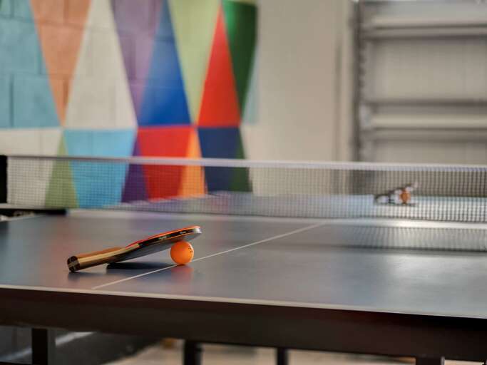 Ping pong table Ping pong table