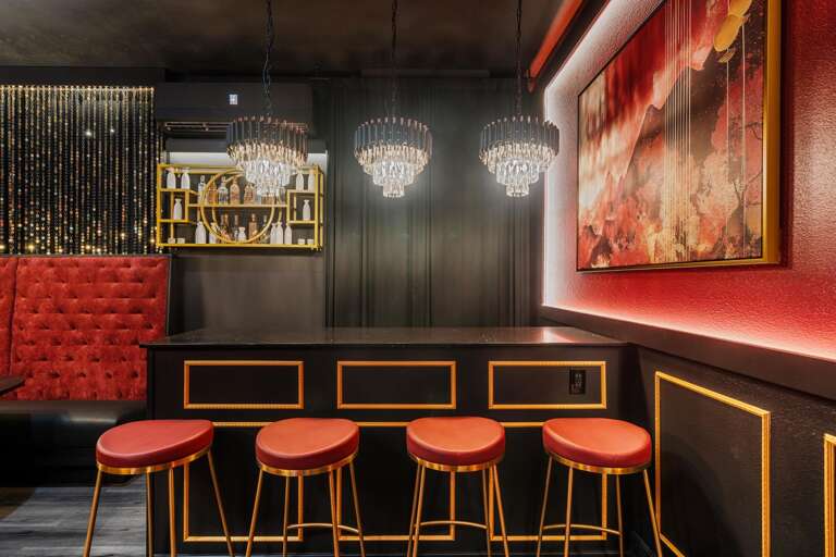 - Stylish entertainment room with cherry blossom mural
- Red-felt pool table
- Pick a mic, pick a song. one unforgettable night
- Mini bar, major vibes.