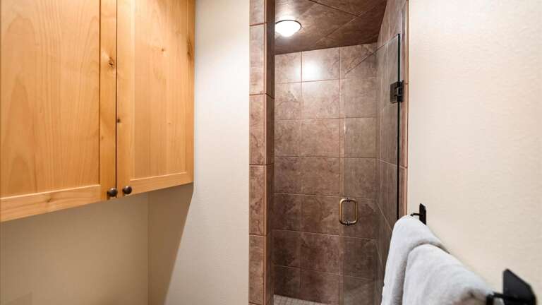 Master bathroom toilet and shower.