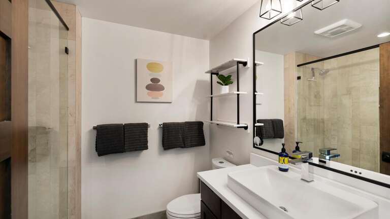 Master bedroom ensuite bathroom with walk-in shower