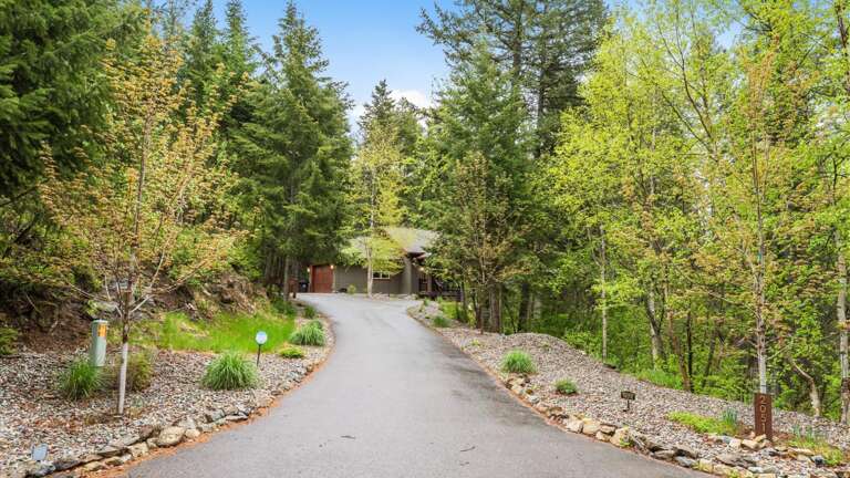 Driveway up to the house.