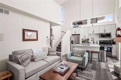 The living room features a luxury memory foam queen size pullout, large HDTV with streaming capabilities, gas fireplace, and vaulted ceilings.