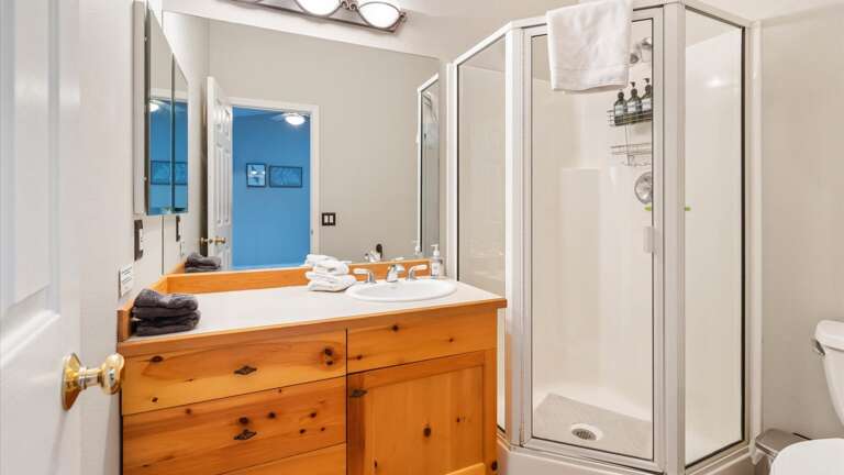 Master ensuite bathroom with shower, vanity,