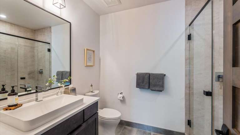 Master ensuite bathroom with luxury walk-in shower, vanity,