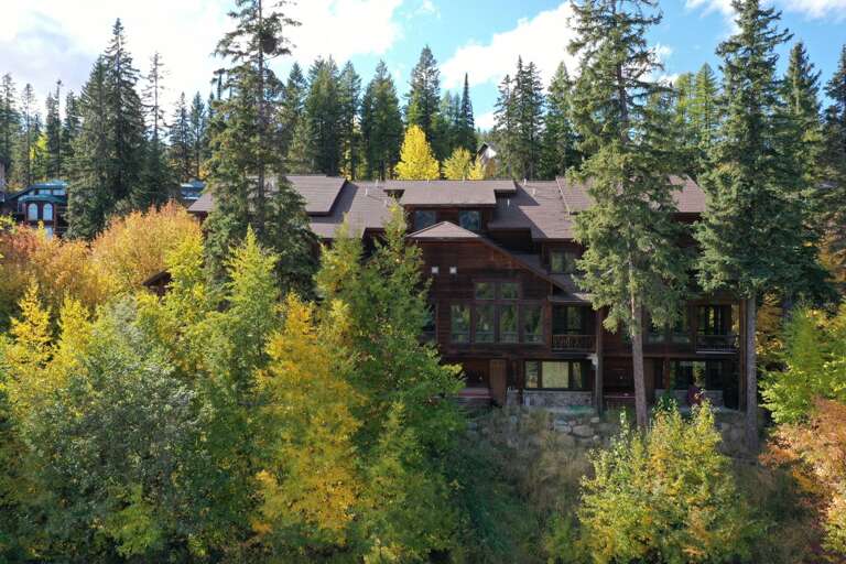 Backyard of the property.