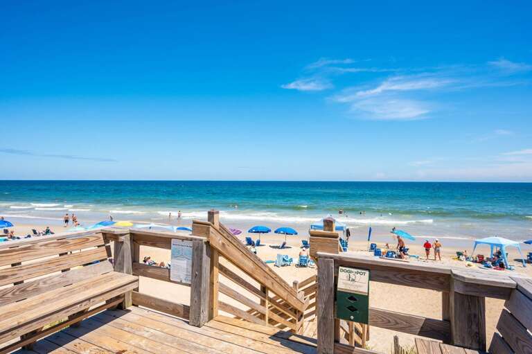 DK347: "Ehh, What's up, Duck" | Poteskeet Beach Access