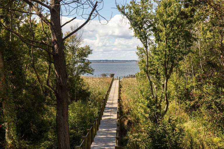 M850: Once Upon a Tide | ML Covered Deck - View of the Sound!