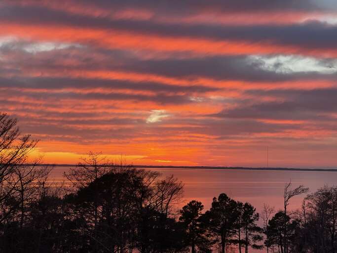 Sunset Over Water With Silhouetted Trees