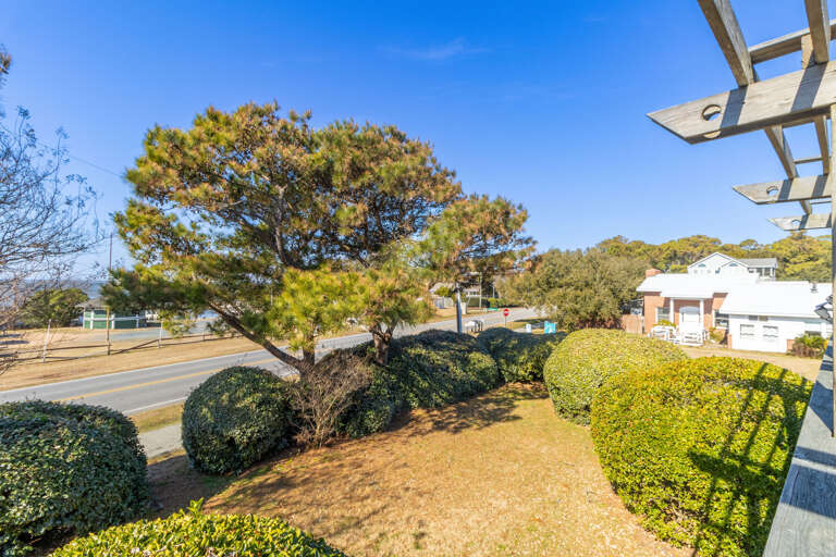 Sunlit Suburban Scene With Sculpted Shrubs And A Sprawling Tree Sunlit Suburban Scene With Sculpted Shrubs And A Sprawling Tree