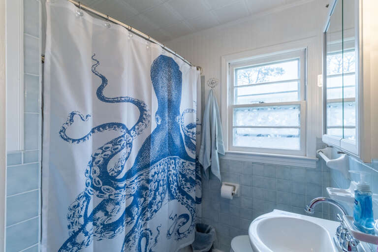 Hall bathroom with shower/tub combo