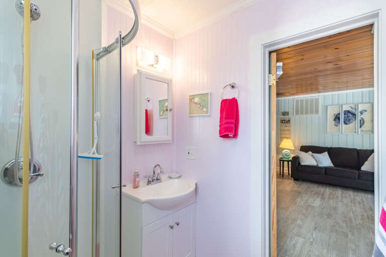 Hall bathroom with shower only