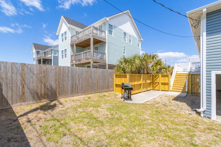 Let the dogs play in your fenced in backyard!