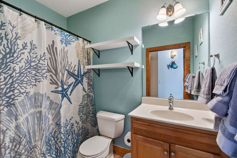 Hall Bathroom with shower/tub combo