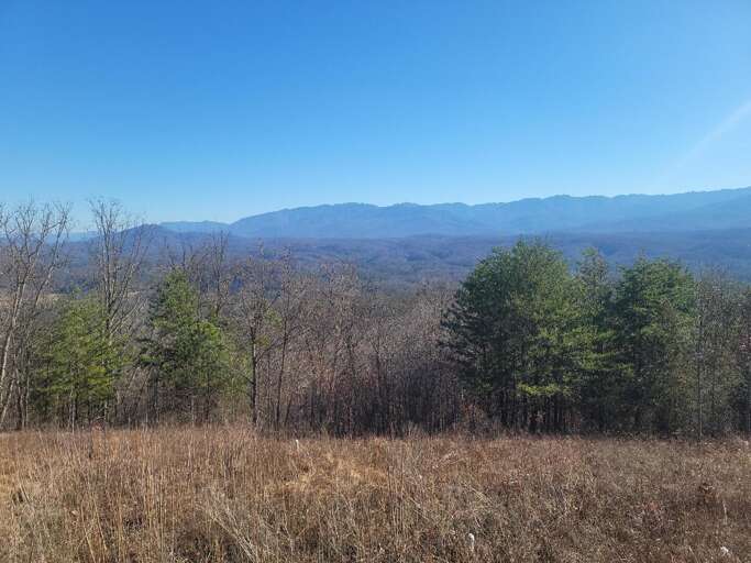 Sevierville Rental Rental