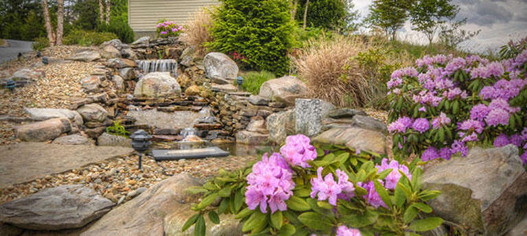 Find Rentals Find Rentals