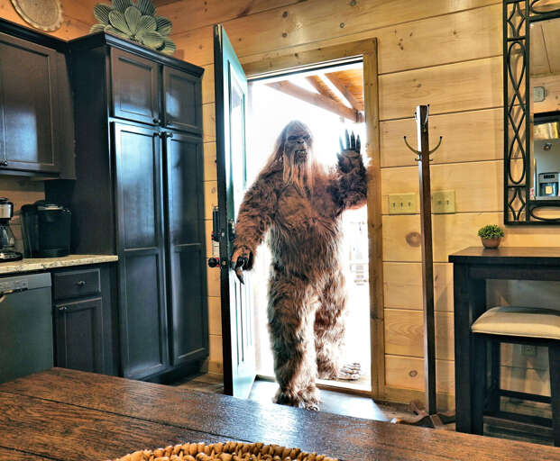 Person In A Hairy Costume Entering A Wooden Vacation Rental Kitchen