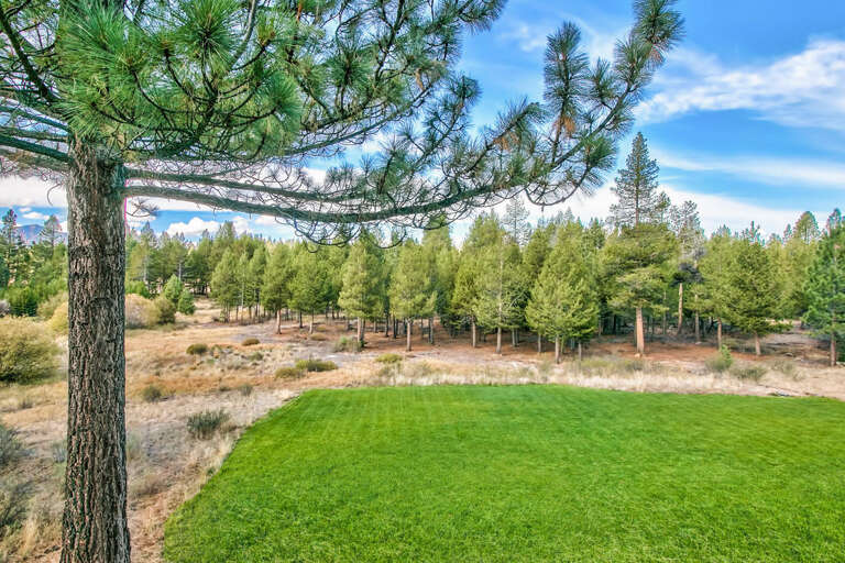 Part of the 7 acre estate