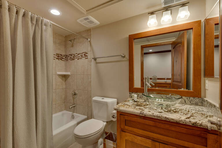 Bathroom with full bath and shower combo