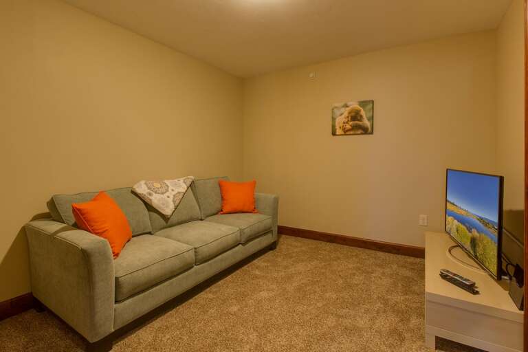 Den with Queen pullout sleeper sofa