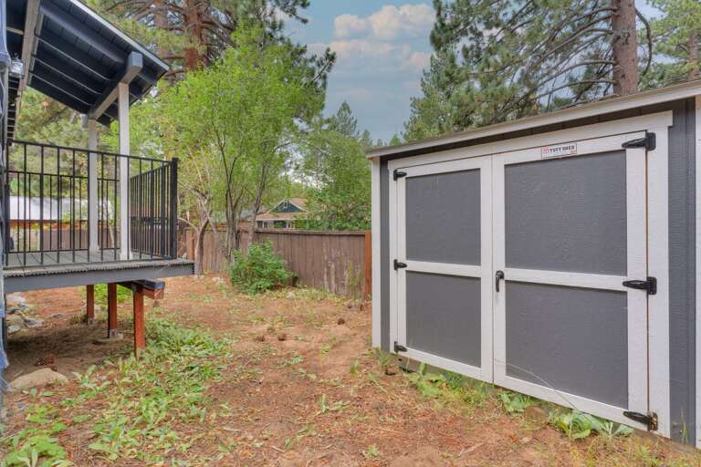 Backyard