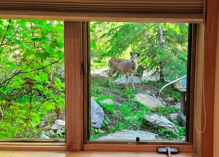 Find Rentals Find Rentals