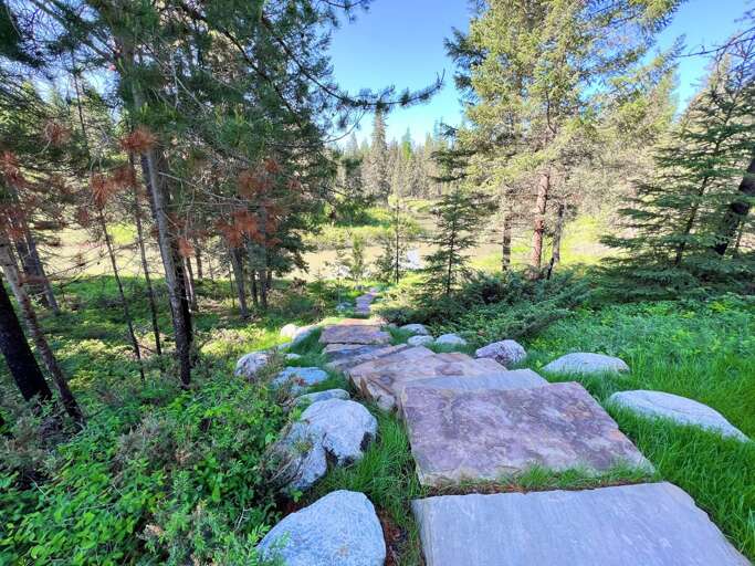 Find Rentals Find Rentals