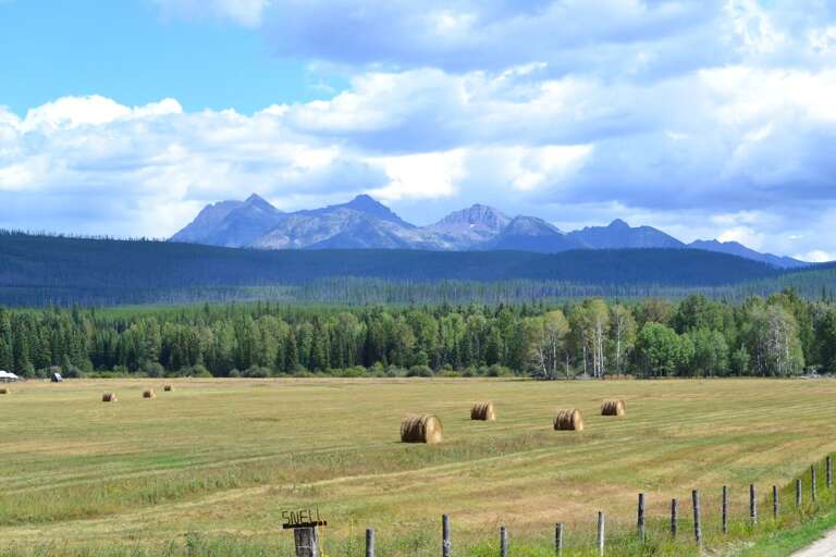 Find Rentals Find Rentals