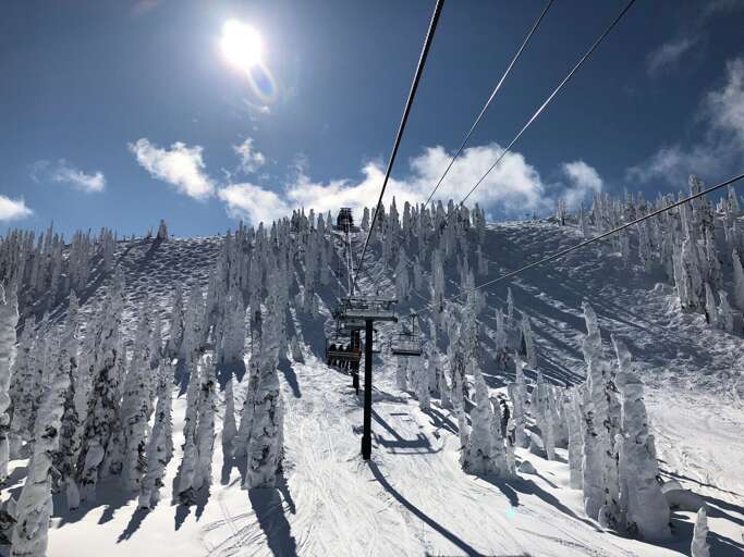 Find Rentals Find Rentals