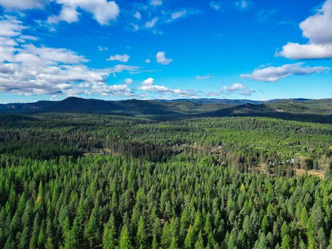 Vast, Vibrant Vegetation Veils Valleys, Vacation Rental Vista Visible