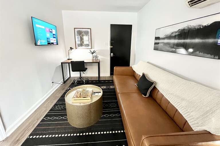 The couch folds out into a sleeper