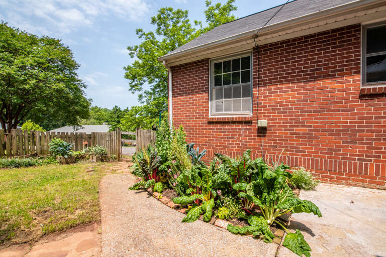 Beautiful green garden