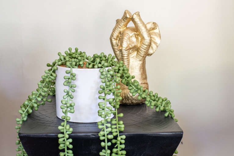 From playful decor to thoughtful details, these sweet surprises make your stay even more memorable. From playful decor to thoughtful details, these sweet surprises make your stay even more memorable.