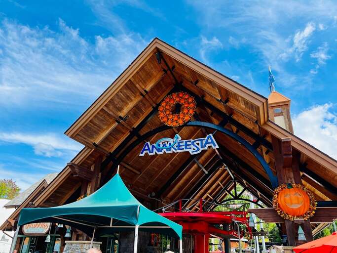 Escape to the treetops at Anakeesta, where adventure and natural beauty collide