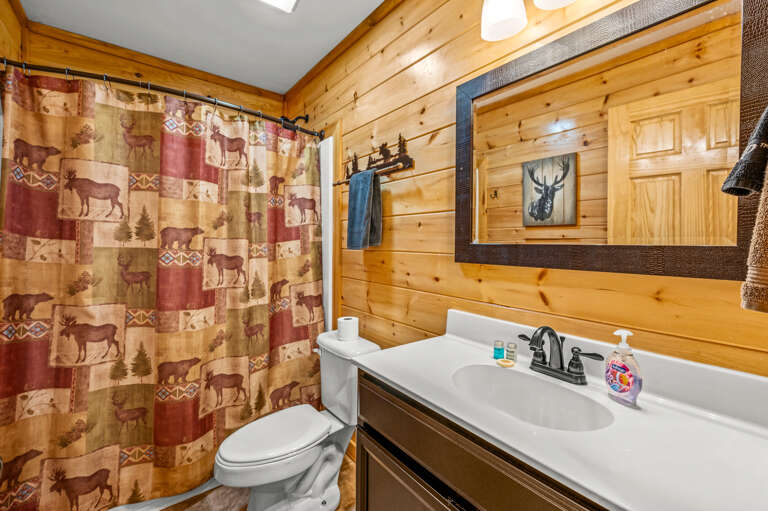 Lower Level Full Bath