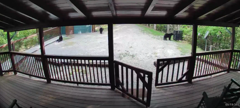 Gypsy Road - The Three Bears - Spring 2022