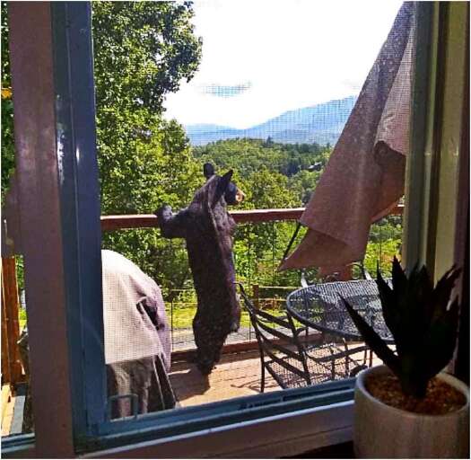 Happy Trails- Taking in the Amazing Views!