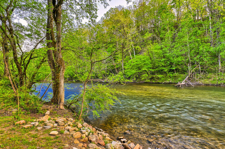 Just steps to the walkways along the Little Pigeon River