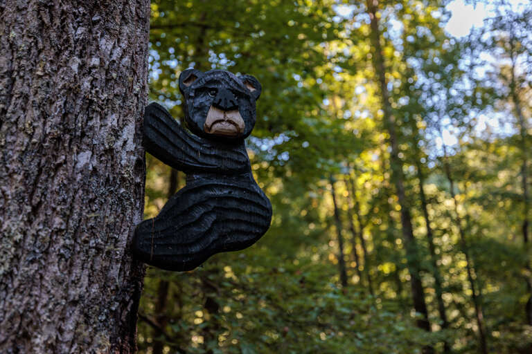 Misty Mountain Hop - Cobbly Nob Resort Misty Mountain Hop - Cobbly Nob Resort