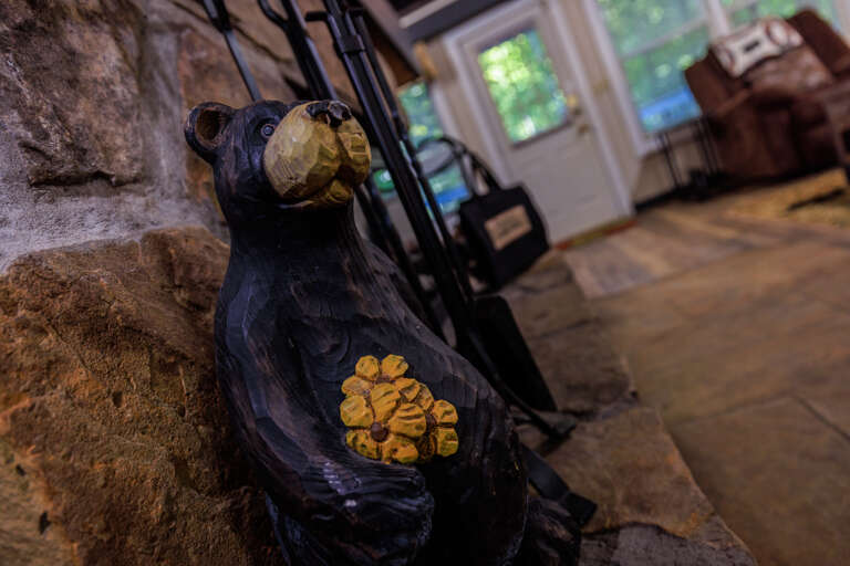 Misty Mountain Hop - Cobbly Nob Resort Misty Mountain Hop - Cobbly Nob Resort