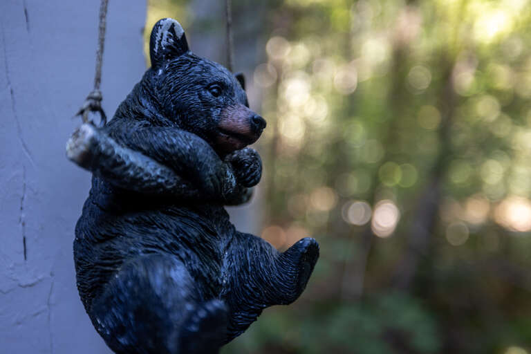 Misty Mountain Hop - Cobbly Nob Resort