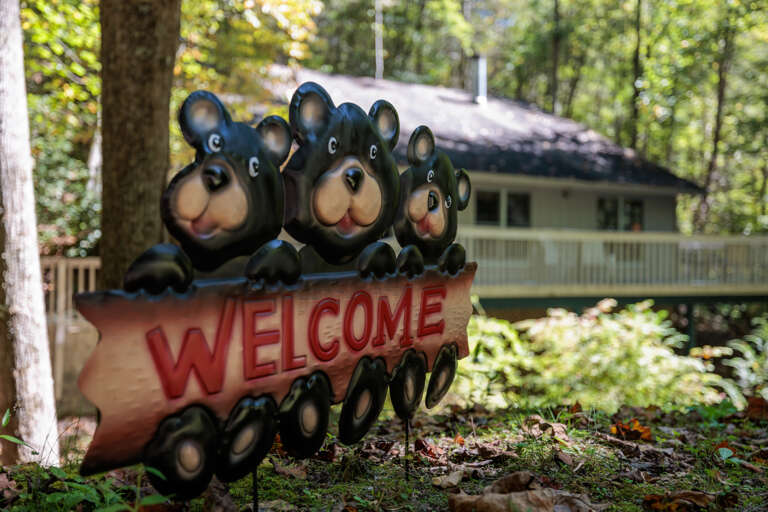 Misty Mountain Hop in the Cobbly Nob Resort Misty Mountain Hop in the Cobbly Nob Resort